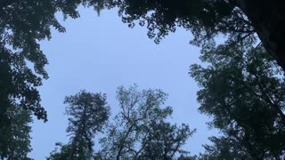 A glimpse of lightning