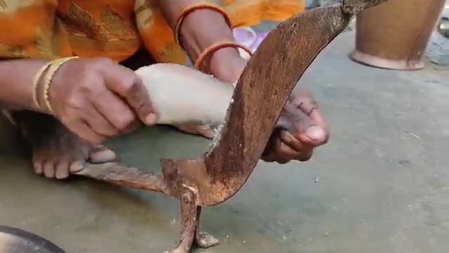 River FOLI FISH cooking recipe with fresh MULO & BEGUN by santali TRIBE couple-5