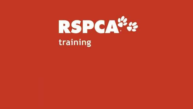 Free dog training searies