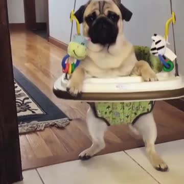 Waiting for delicious food