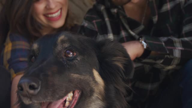 Happy couple petting their dog