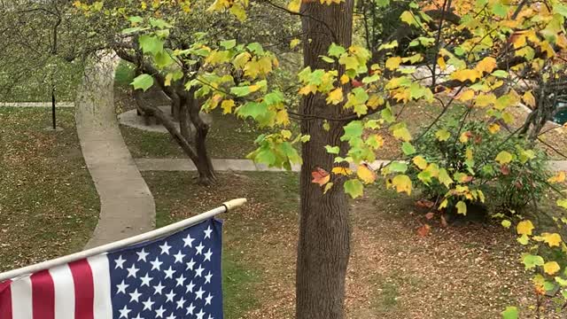 Fall Leaves at the Penthouse again...probably my last.