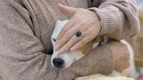 Older Woman Petting Her Dog Head With Love 2021