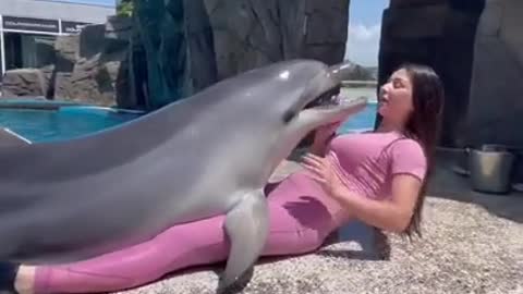 Two dolphins 🐬🐬 playing with girl Dolphin show