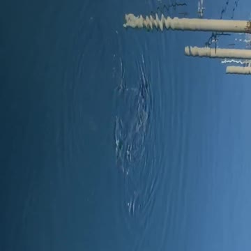 France le grande motte