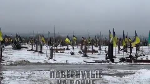 Dnipropetrovsk. The result of the summer counteroffensive is a cemetery going into the horizon!