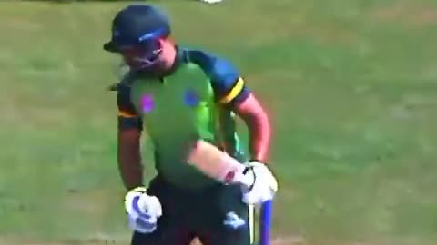 Cricket