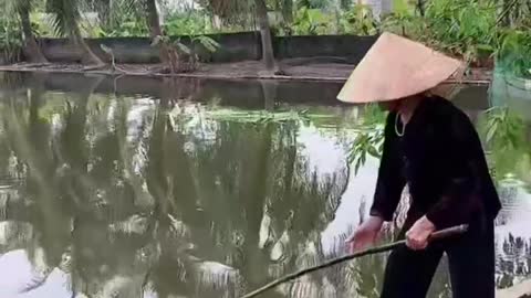 This is a beautiful and charming water-dwelling species