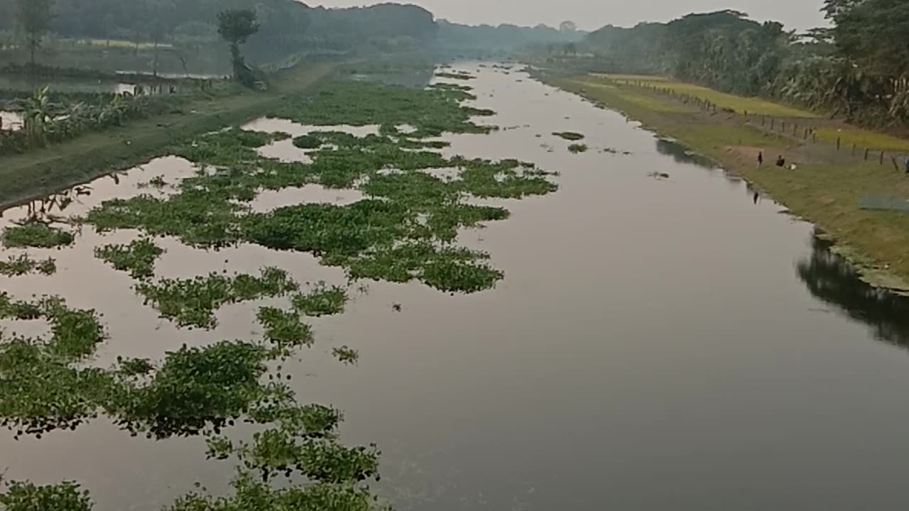 Michael Madhusudan's memory of the Bizarre Kapotak river