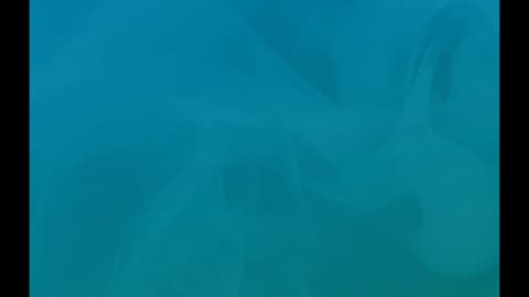 Testing