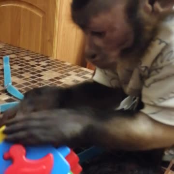 Головоломка