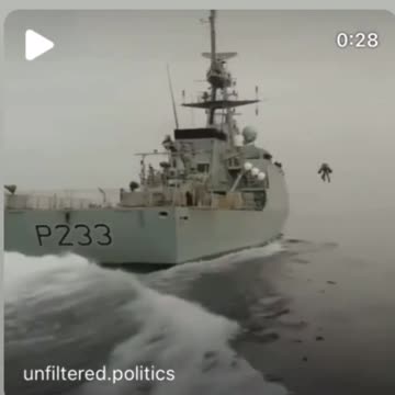 Shorts - Flying Military