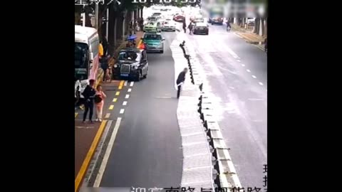 Fantastic collection of humorous videos