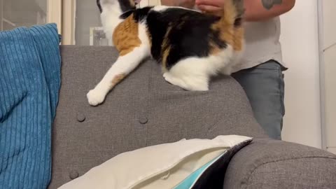 "We’re practicing" 🤣🤣🤣