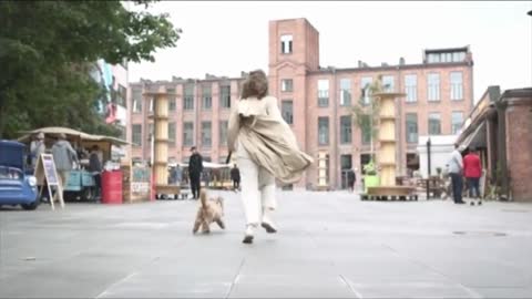 Funny animals 😂Funny cats / dogs 🐱🐶