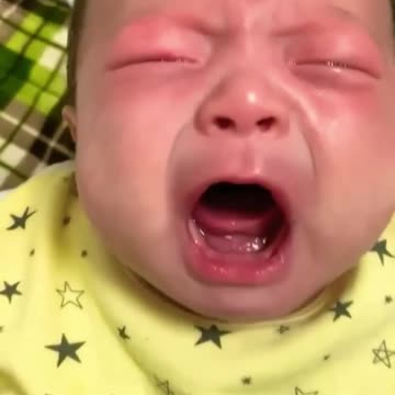 NVCAP Ryan's protection at catches