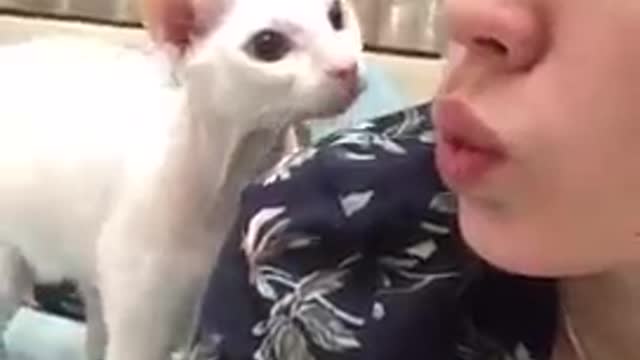Comedy video