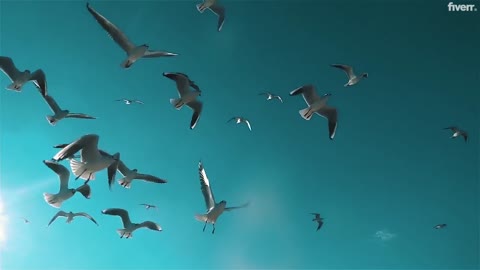 I will do a motivating inspiring video ad for your brand