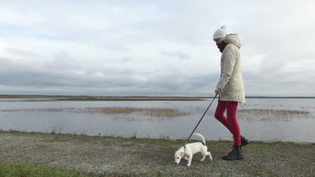 a woman walks with a puppy jack russeil along the waterfront