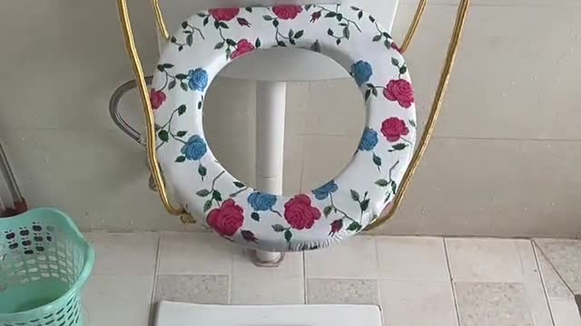 Swing to the toilet