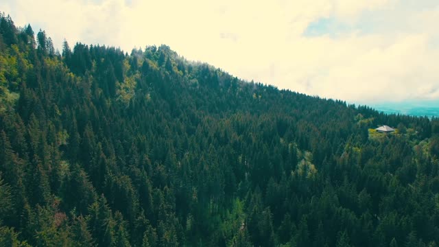 Narrow route Nature