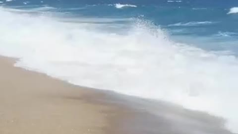 This is the cleanest beach and sea I have ever seen