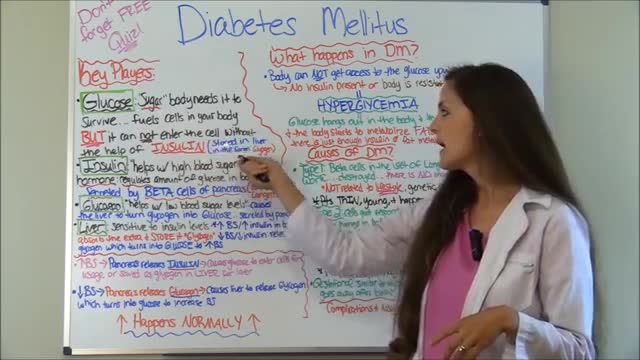 Diabetes Mellitus Pathophysiology - Nursing Diabetes Nursing Lecture NCLEX Type 1 - Type 2