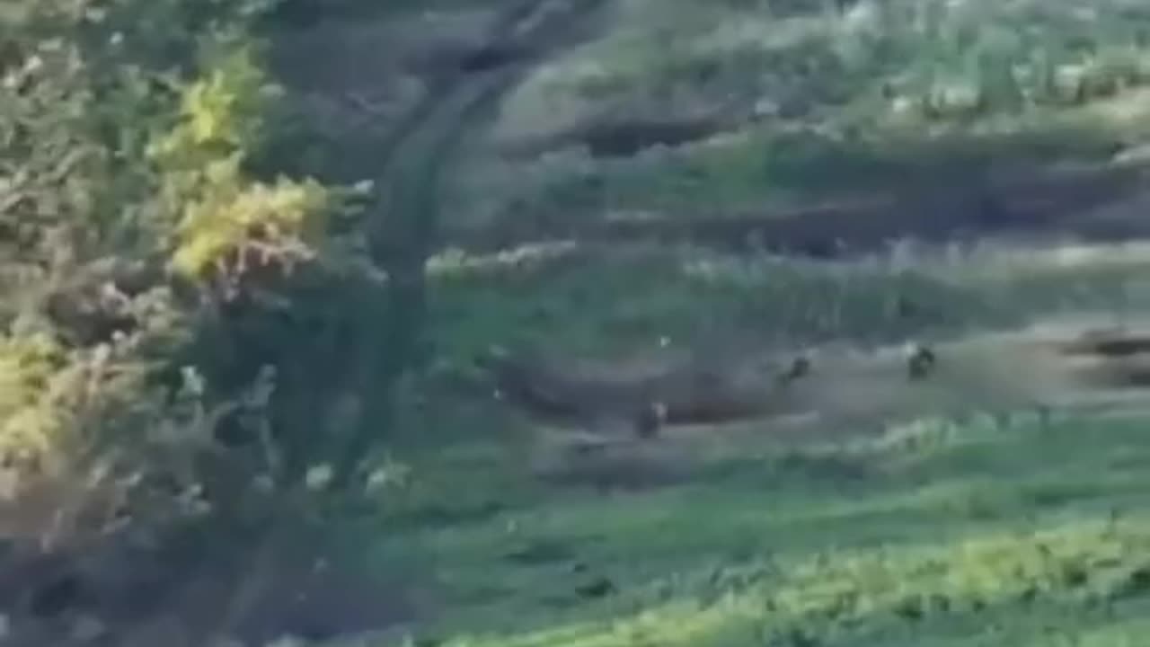 Single Drone Rocks Entire Group of Attacking Russians