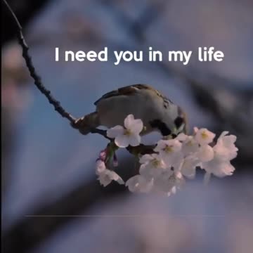 Allah 😇❤ islamic whatsapp status