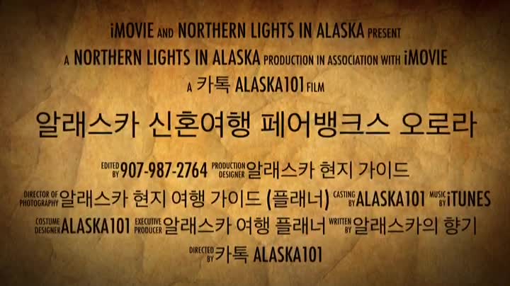 [알래스카 신혼여행] 페어뱅크스 오로라 체이싱 투어 - Aurora chasing Tour in Fairbanks, Alaska