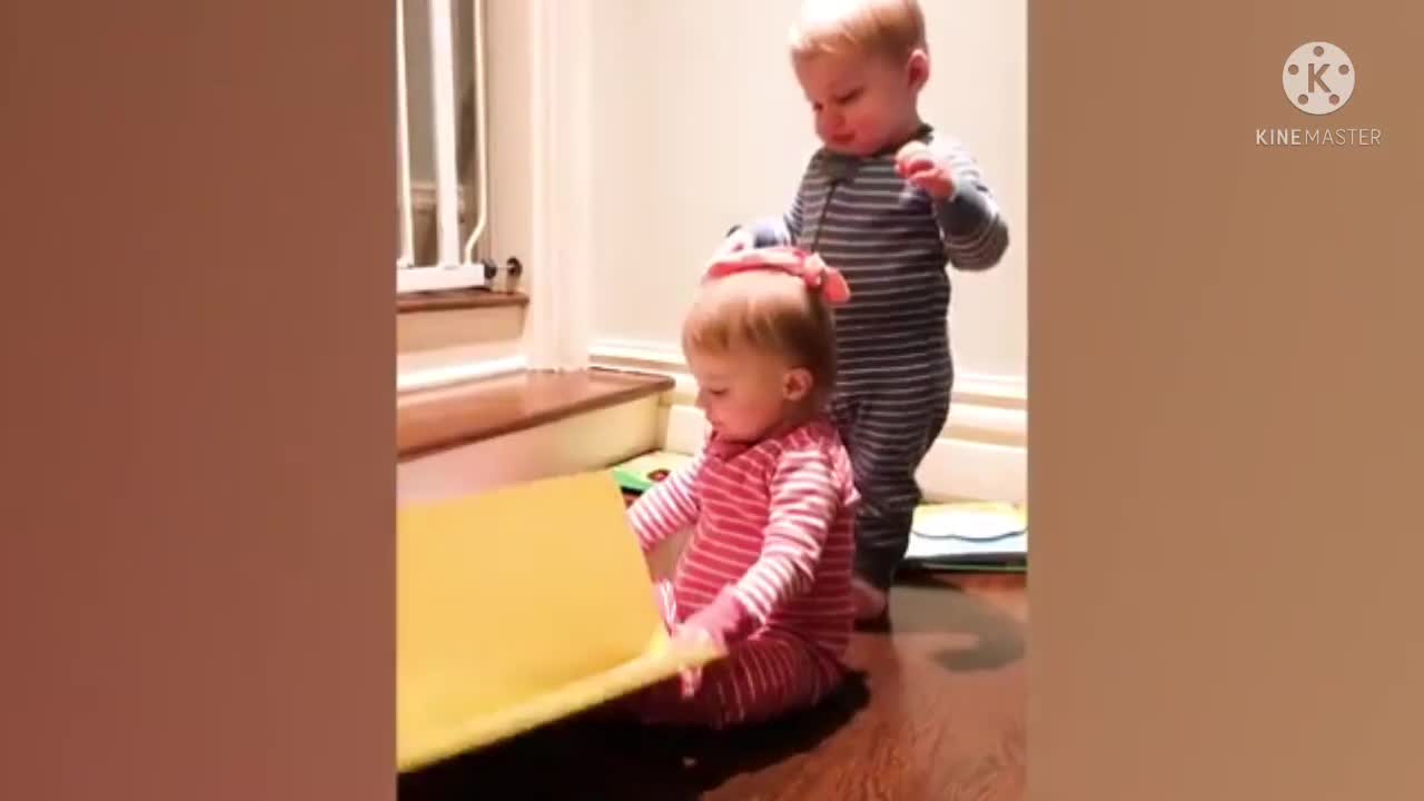 Baby funny videos twin babies video