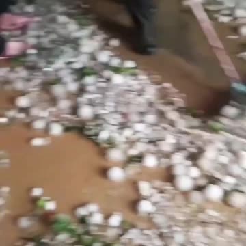 April 27, 2024 China 🇨🇳