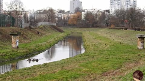 Rzeka Bystrzyca odcinek Śródmieście