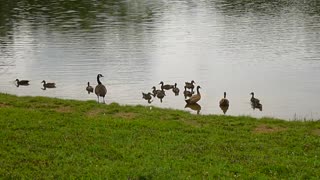 A Cloudy Day At The Pond