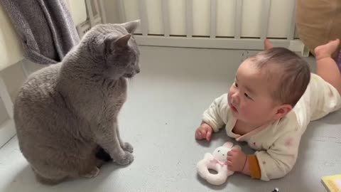 Cute cat and cute baby