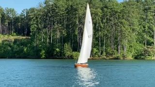 Tom Tom Sailing