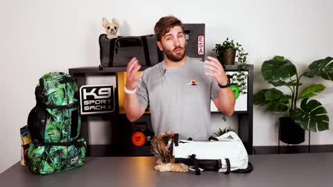How To Safely Get Your Dog In A Backpack Carrier