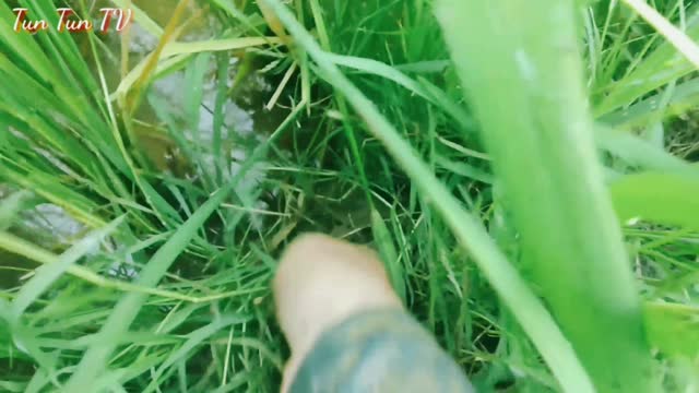 A hot eel fishing session