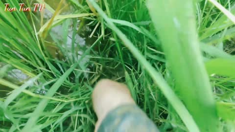 A hot eel fishing session