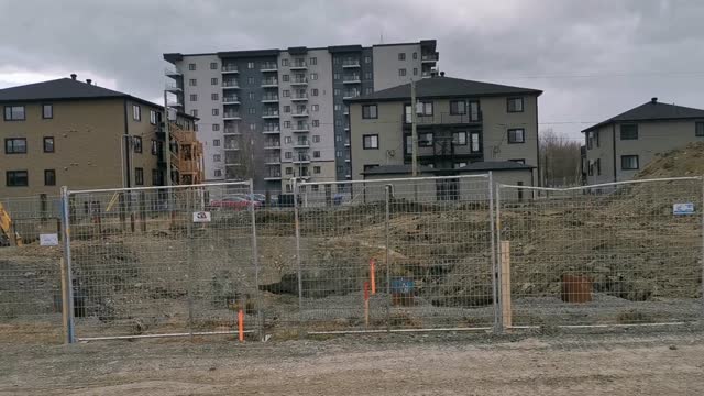 Luminia pelletée de terre