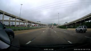 Bird bounces off my car