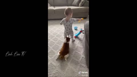 Funny Video !