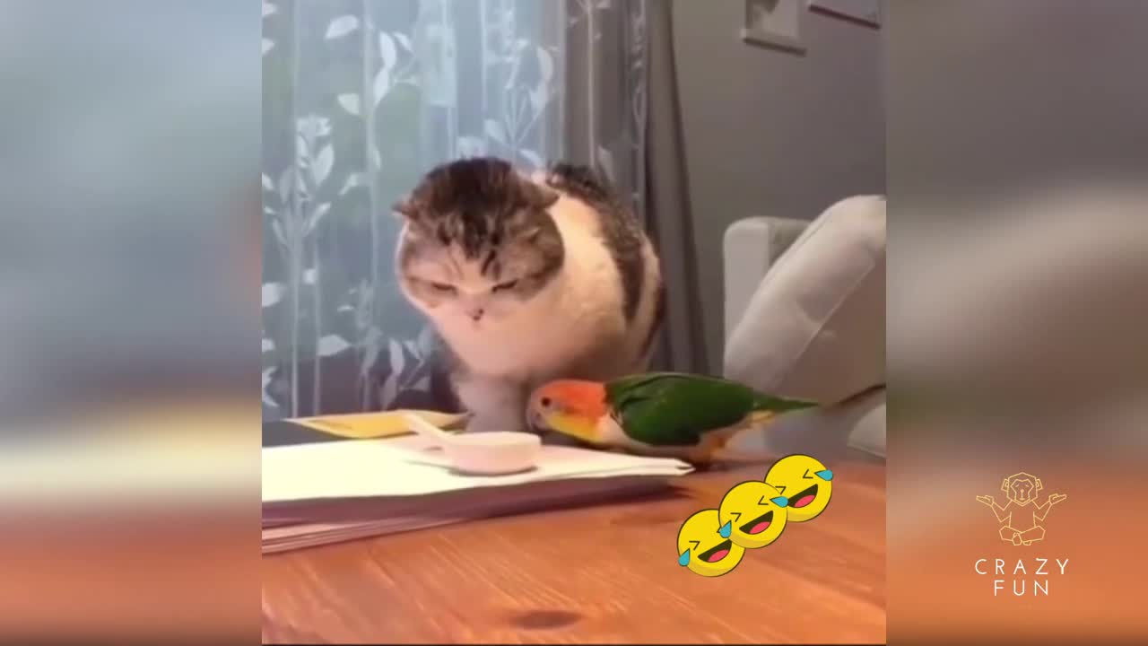funny make you laugh