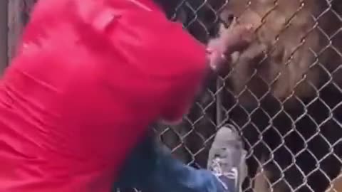 OMG
