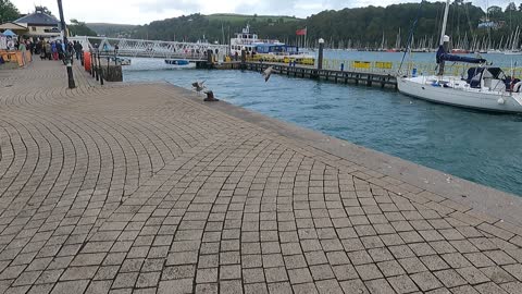 Dartmouth. Riverside walk