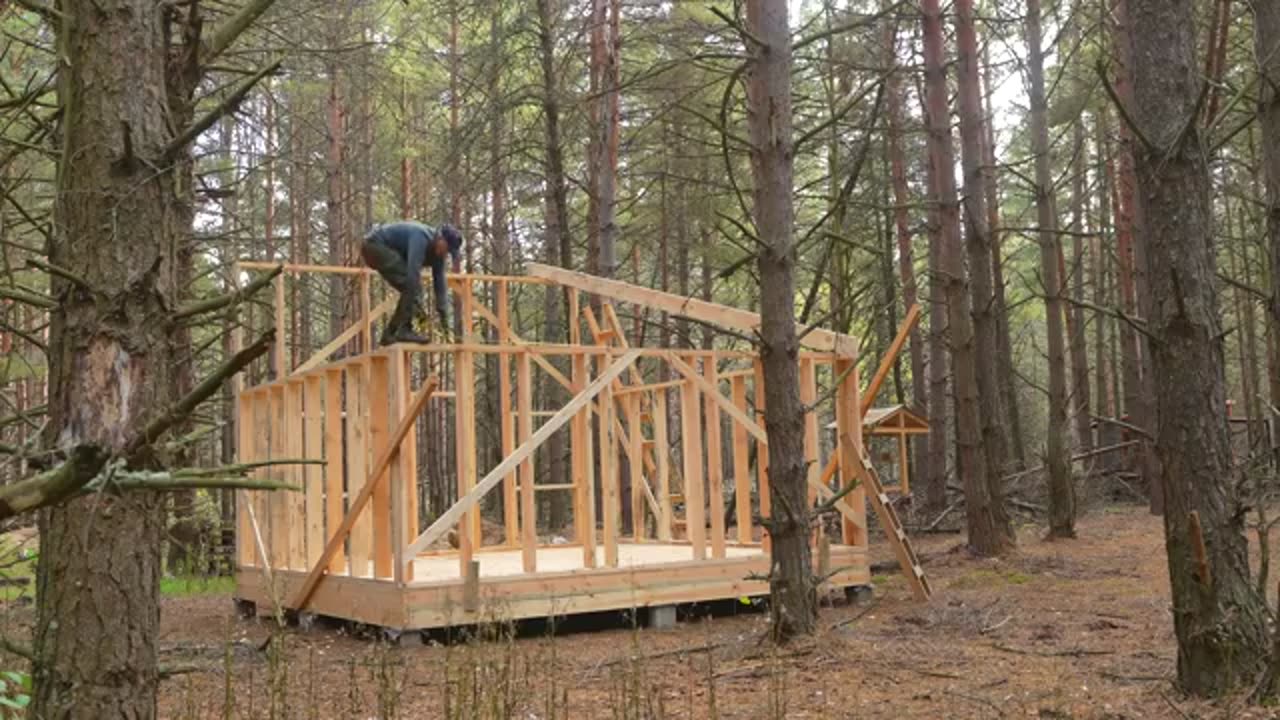 Building a huge cabin with my own hands