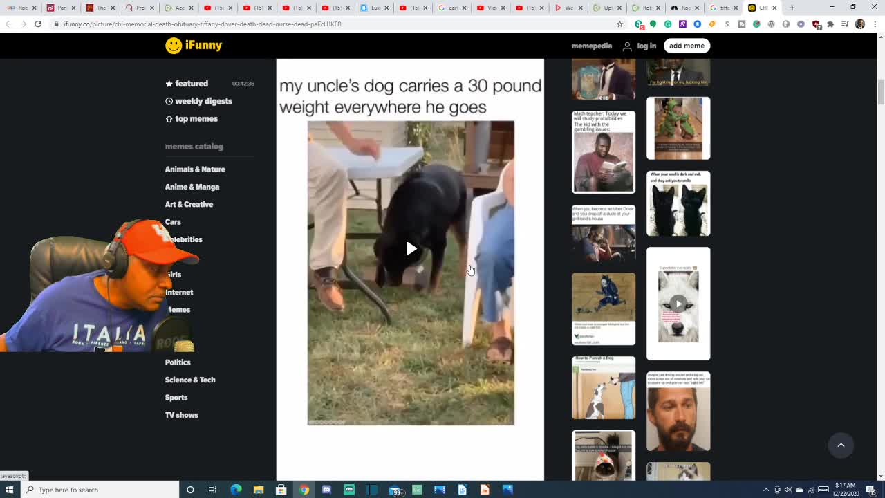 Jaws on Dog
