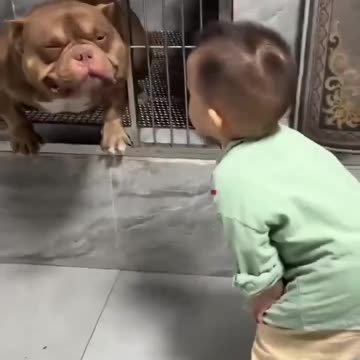 I think he likes his new buddy 😊