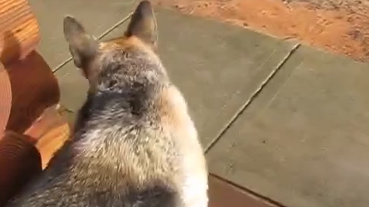 Adorable old Krissy Anne Marie