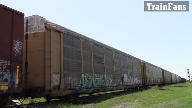 TRAIN 382 - CN 3843 & CN 5763 Engines Manifest Train Eastbound In Ontario